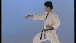 Basic Techniques 2 - Y Ohta wmv