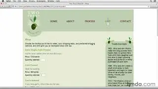 Using JavaScript with HTML Forms 10