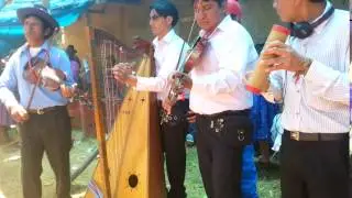 Los brillantes de yauya