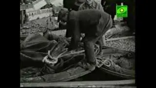 Новомученики и исповедники Российские