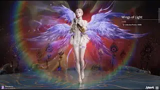 New Aurora Treasure 260 Pulls to get Everything