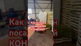 КАК ЭТО РАБОТАЕТ? Процесс посадки растений в питомнике