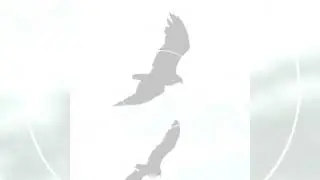 Гуфтахои укоб