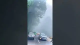 Beautiful weather of Murree ❤️❤️#murreeweather #Enjoy #beautifulplace