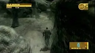 MGS4 