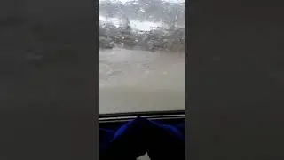 Алтайский край село Смоленское потоп 2018