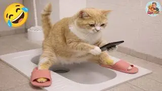 Try Not To Laugh 😅 Funniest Cats and Dogs 😹 Funny Animals 2026