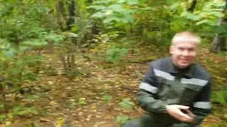 Царь сосна Озераны 4К