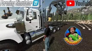 Bunching Logs Clearing land