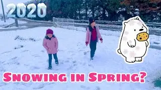 SNOWING || IN SPRING TIME | Hailey and Hashley Sisters