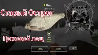 Русская рыбалка 4 не Рыбачьте в грозу