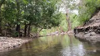 Refreshing waters from El Salvador 🥰😍💙