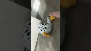 моя любимая рубрика