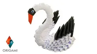 Swan Video Tutorial