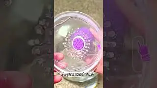 Breast pump breast teaser breast enlargement stimulation female sex toy
