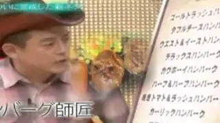 ハンババババババババババーグだよ!!!!