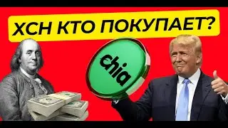 XCH - КТО ПРОДАЕТ ЧИЮ? ПОЧЕМУ КИТЫ ПРОДОЛЖАЮТ XCH НАКАПЛИВАТЬ?