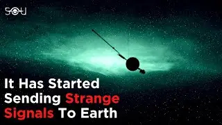 Something's Seriously Wrong With Voyager 1 Probe 23 Billion km Away