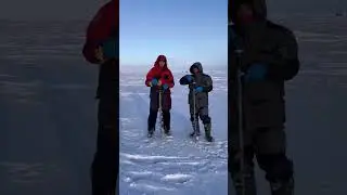 Ку-ку ляля! Шуруповерт на крабалку.