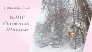 ВЛОГ: У нас снежный шторм, новая вафельница, разбираем елку| Snowstorm Jonas, Blizzard, USA