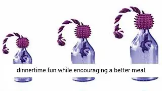 PetSafe Busy Buddy Tug-A-Jug Meal-Dispensing Dog Toy