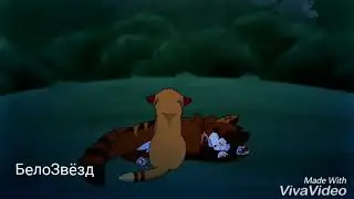 ОгнеЗвёзд и ПесчанаяБуря-FireStar and Sandstorm [Коты Воители-Cats Warriors] Верните моду любовь 😻