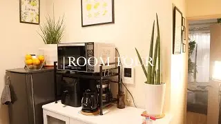 |ROOM TOUR| Living Alone In Japan. Trying to be minimalist. Living With Plants. Simple