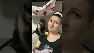 Дети такие дети ))) #капуцин