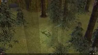 Dungeon Siege Chapter 1 Stonebridge - Prologue Part 1 Walkthrough