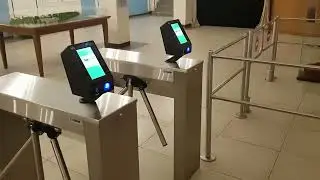 Telegreen all videos in one