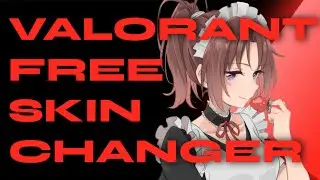 Valorant Skin Changer | Best Free Valorant Skin Changer in 2025 | Every Skin | Tutorial | UNDETECTED