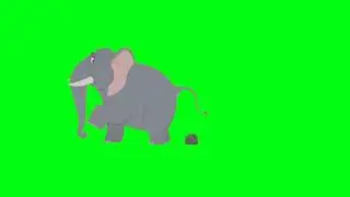 Real Elephant Green Screen Video No Copyright