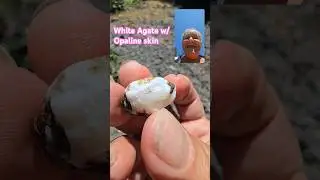 Sweet White Agate with Opaline Skin #shorts #agate #rockhounding