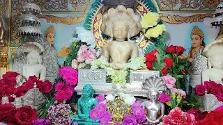 Shree 1008 Chintamani Parasnath Bhagwan Kachner Aarti | पारसनाथ भगवान | Kachner Wale Baba Aarti |