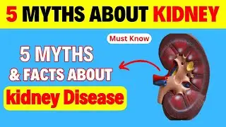 5 Myths About Reversing Kidney Disease Debunked