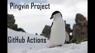 Pingvin Project 07 - GitHub Actions
