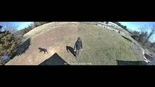 Reolink's NEW Camera is AWESOME // 180° VIEW