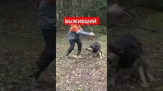 Выживший!