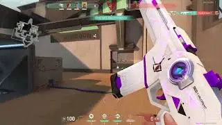 Tenz and Prx forsaken crosshairs...