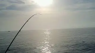 Sharpest Hook on the Market