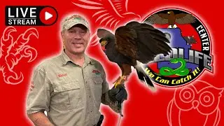 Animal Expert - Bare Hands Beran | Wednesday Night LIVE