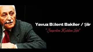 Yavuz Bülent Bakiler | Şaşırdım Kaldım İşte