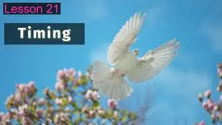 Timing Your Photos Well - Lesson 21 Phone to Camera