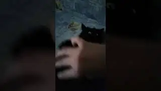 Игры с Васькай