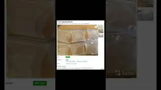 Тупое авито #мем #авито
