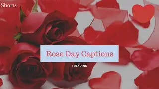Top 5 Rose Day Captions Instagram Captions #shorts #youtubeshorts #roseday #valentineweek #captions