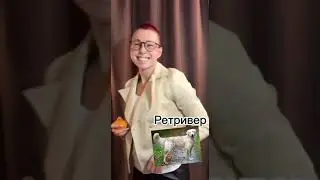Если бы собаки были людьми
