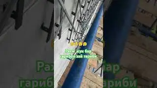 24 октября 2024 г.