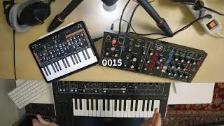 Poor Man's Model D Alternatives on a budget - [ Moog iOS's App vs Behringer Model D ] - 0015