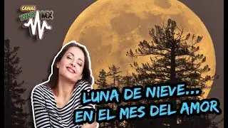 #LunadeNieve